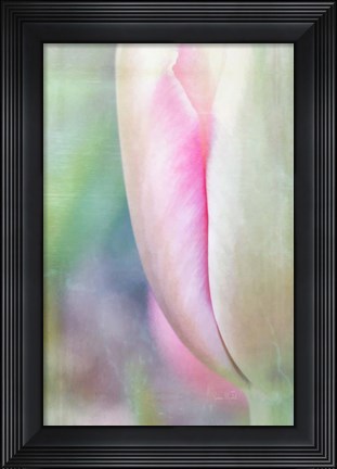 Framed Spring Beauty II Print