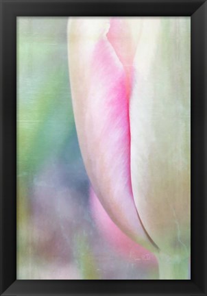 Framed Spring Beauty II Print