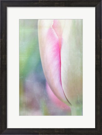 Framed Spring Beauty II Print