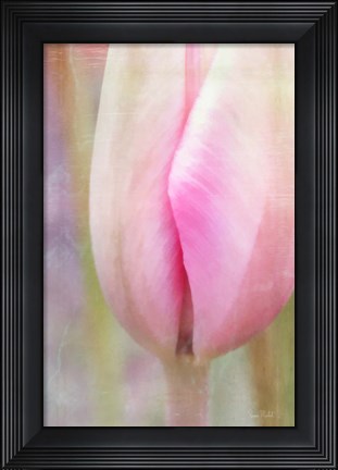 Framed Spring Beauty III Print