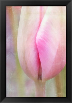 Framed Spring Beauty III Print