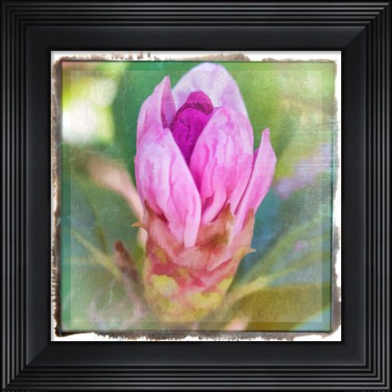 Framed Spring Bud Print