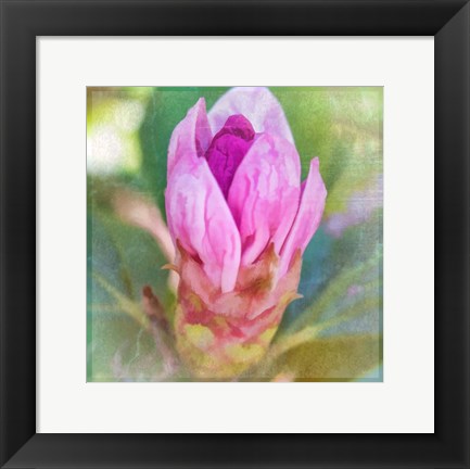 Framed Spring Bud Print