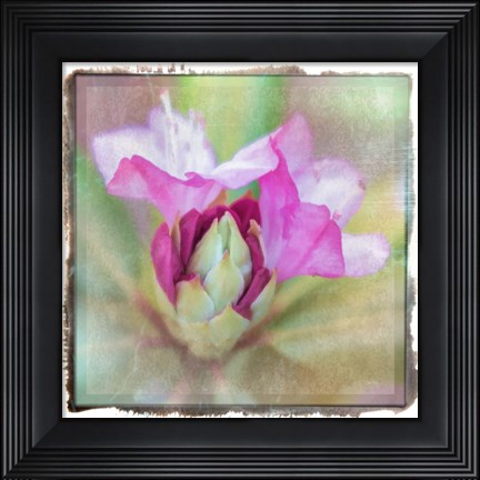 Framed Spring Budding Print