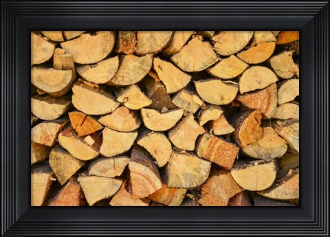 Framed Wood Pile I Print