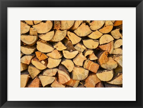 Framed Wood Pile I Print