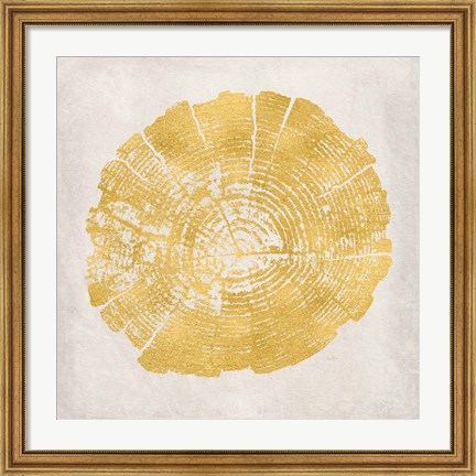 Framed Tree Stump Golden I Print