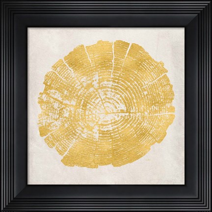 Framed Tree Stump Golden I Print