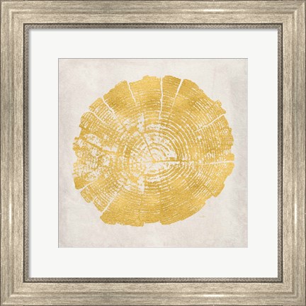 Framed Tree Stump Golden I Print