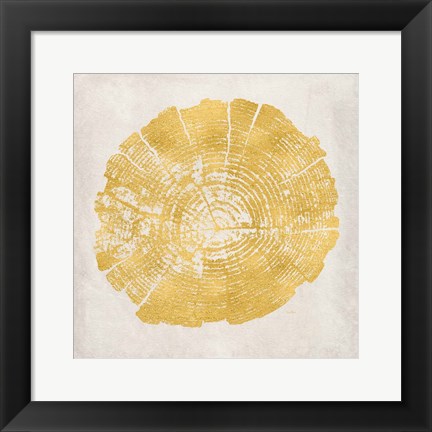 Framed Tree Stump Golden I Print