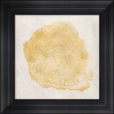 Framed Tree Stump Golden III Print