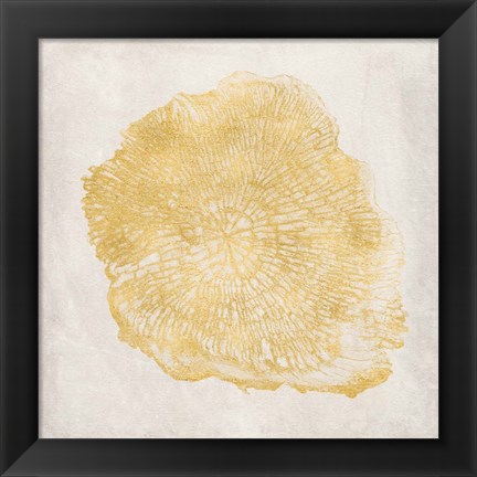 Framed Tree Stump Golden III Print