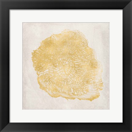 Framed Tree Stump Golden III Print