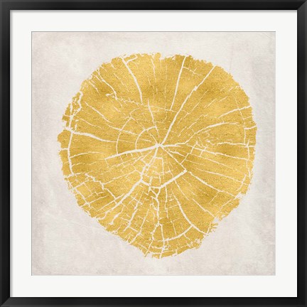 Framed Tree Stump Golden IV Print