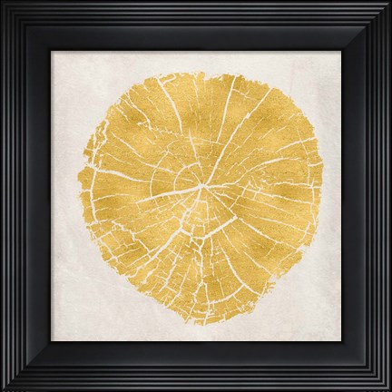Framed Tree Stump Golden IV Print