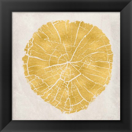 Framed Tree Stump Golden IV Print