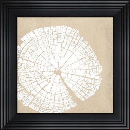 Framed Tree Stump White Reverse Print