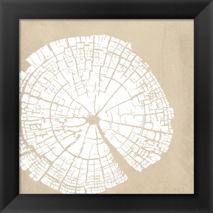 Framed Tree Stump White Reverse Print