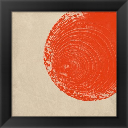 Framed Tree Stump Tangerine Print