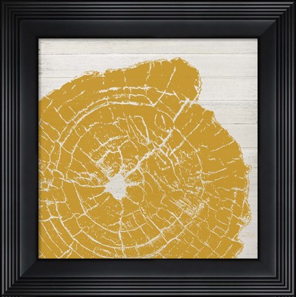 Framed Tree Rings I Print