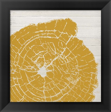 Framed Tree Rings I Print