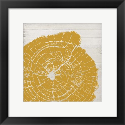 Framed Tree Rings I Print