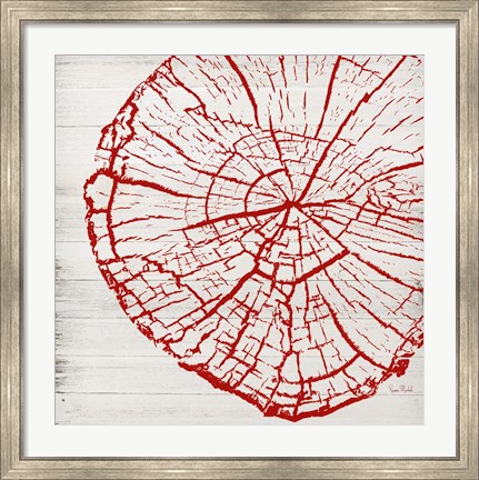 Framed Tree Rings II Print
