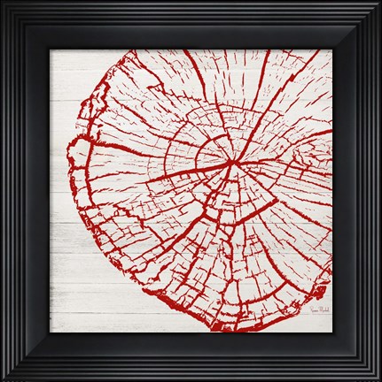 Framed Tree Rings II Print