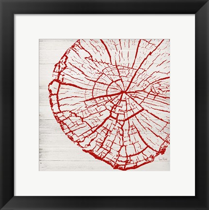 Framed Tree Rings II Print