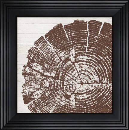 Framed Tree Rings III Print