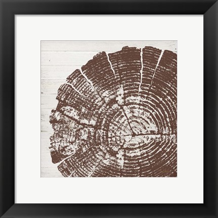 Framed Tree Rings III Print