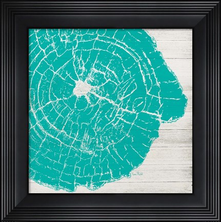 Framed Tree Rings IV Print