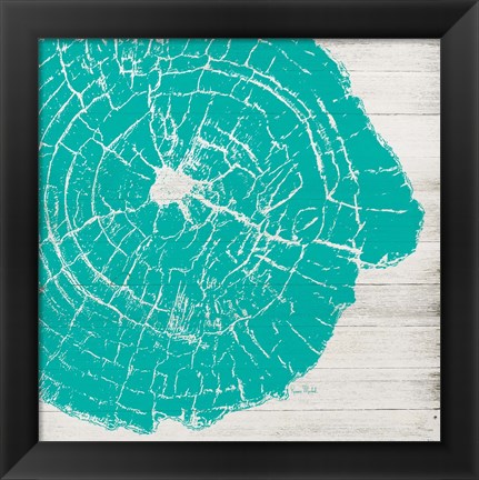 Framed Tree Rings IV Print