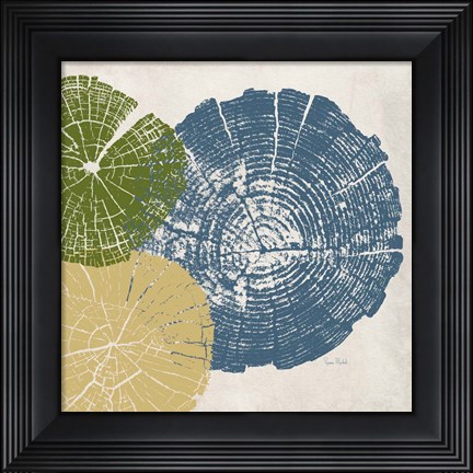 Framed Three Tree Ring II Print