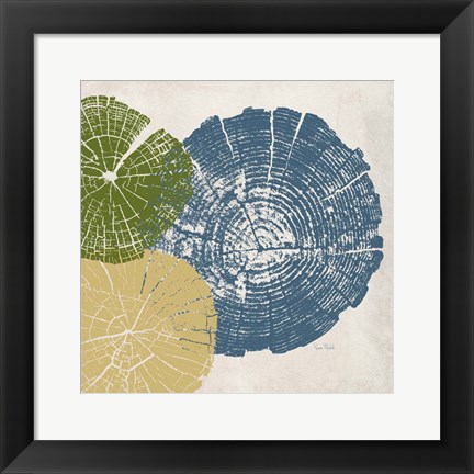Framed Three Tree Ring II Print