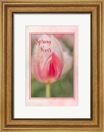 Framed Spring Fever Print