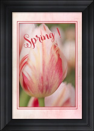 Framed Spring! Print