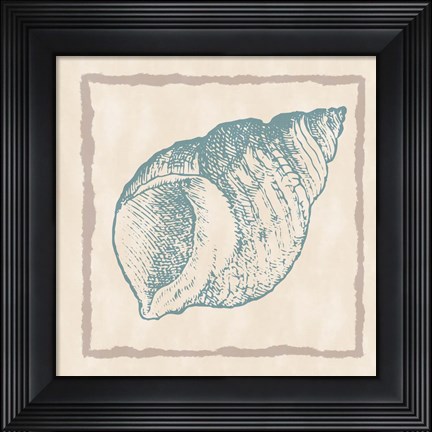 Framed Shell I Print