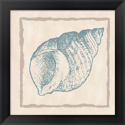 Framed Shell I Print