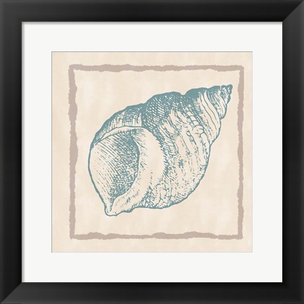 Framed Shell I Print