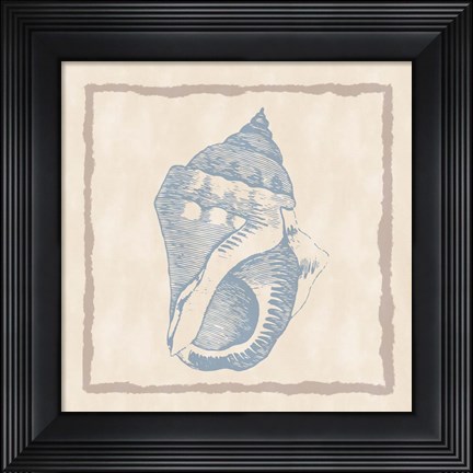 Framed Shell II Print