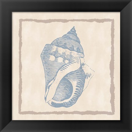 Framed Shell II Print