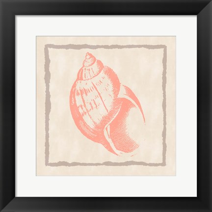 Framed Shell IV Print