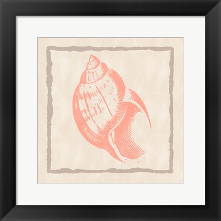 Framed Shell IV Print