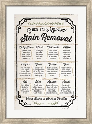 Framed Stain Removal Guide Print