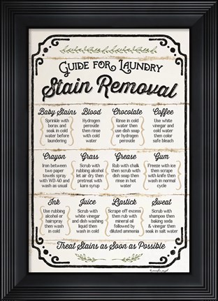 Framed Stain Removal Guide Print