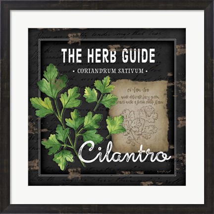 Framed Herb Guide Cilantro Print