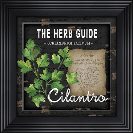 Framed Herb Guide Cilantro Print