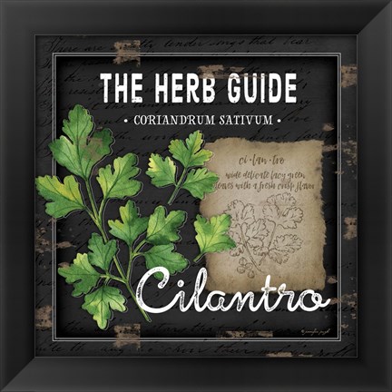 Framed Herb Guide Cilantro Print