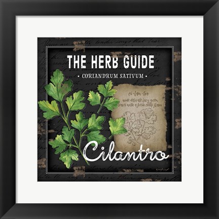 Framed Herb Guide Cilantro Print